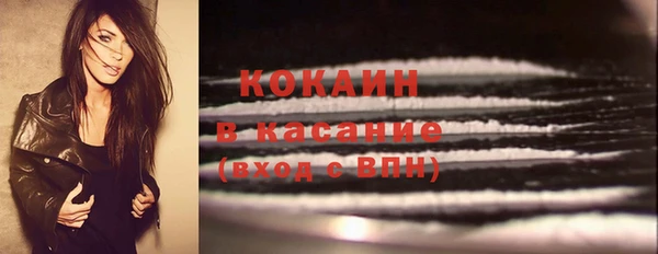 мдпв Козловка
