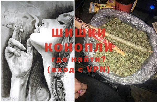 крисы Кодинск