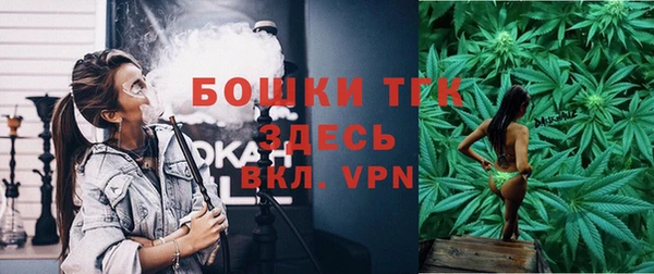 крисы Кодинск