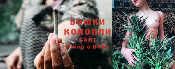мдпв Козловка