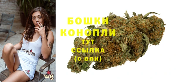 крисы Кодинск