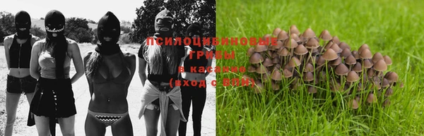mdpv Козельск