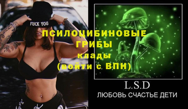мдпв Козловка